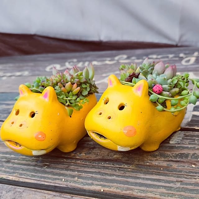 mocomocoさんの実例写真