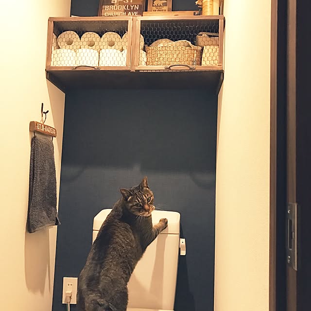 beansさんの実例写真