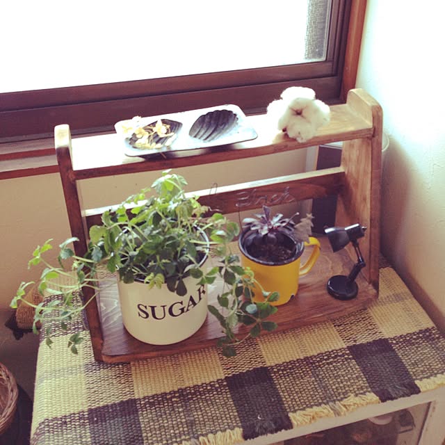 utatanさんの実例写真