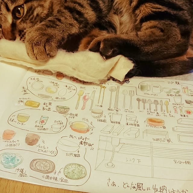 umecchuさんの実例写真