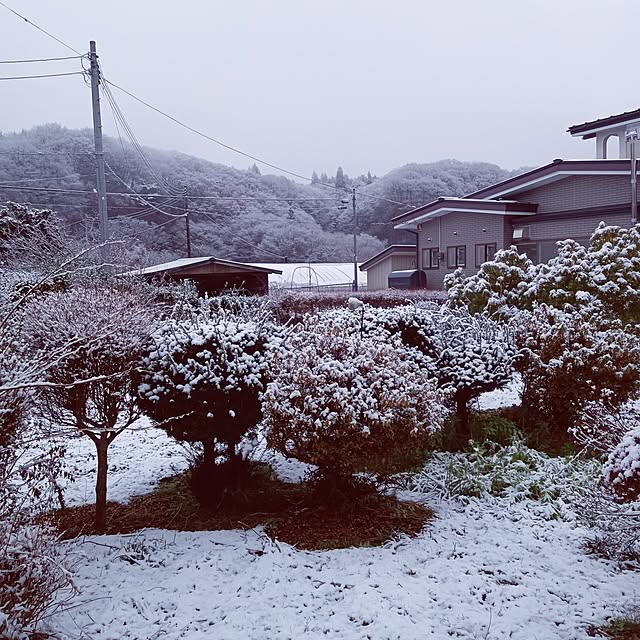 ruantaiさんの実例写真