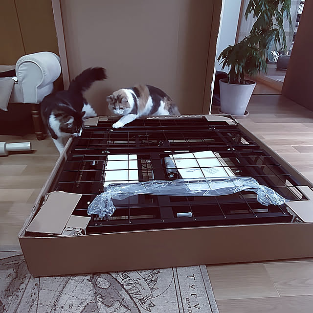 +CHIHARU+さんの実例写真