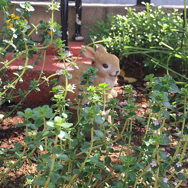 Ronyさんの実例写真