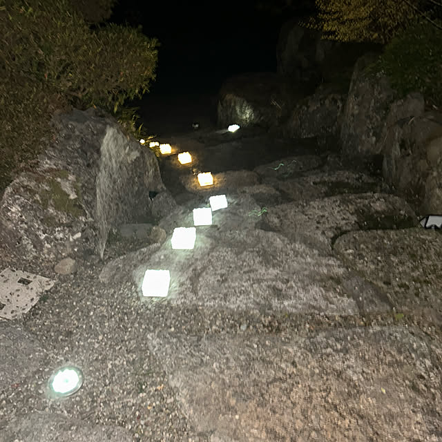 実例写真