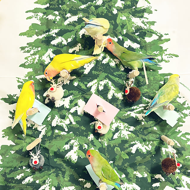 amberhouseさんの部屋