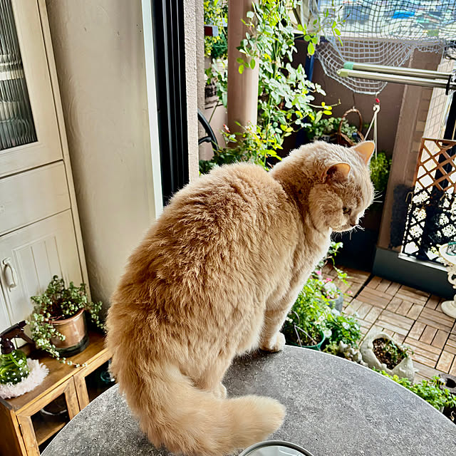 naokoさんの部屋