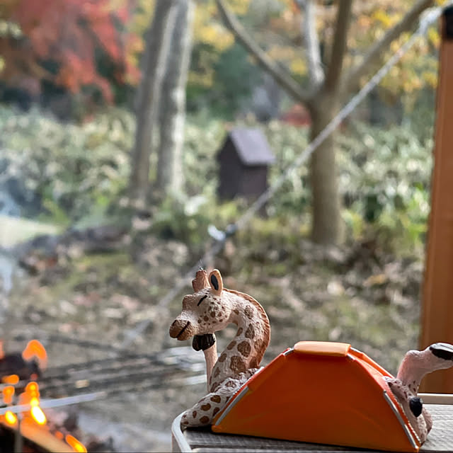 imaさんの実例写真