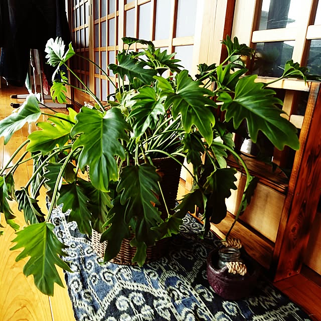 mie8989さんの実例写真