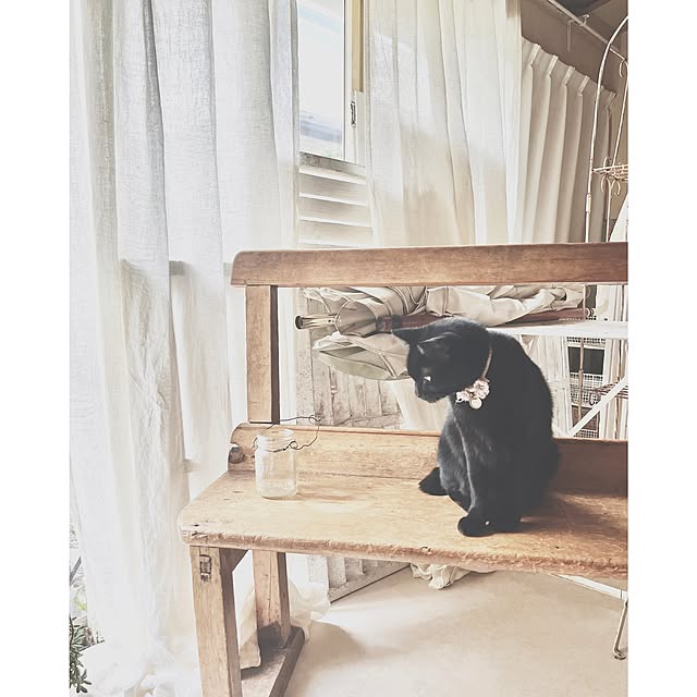 ataさんの実例写真