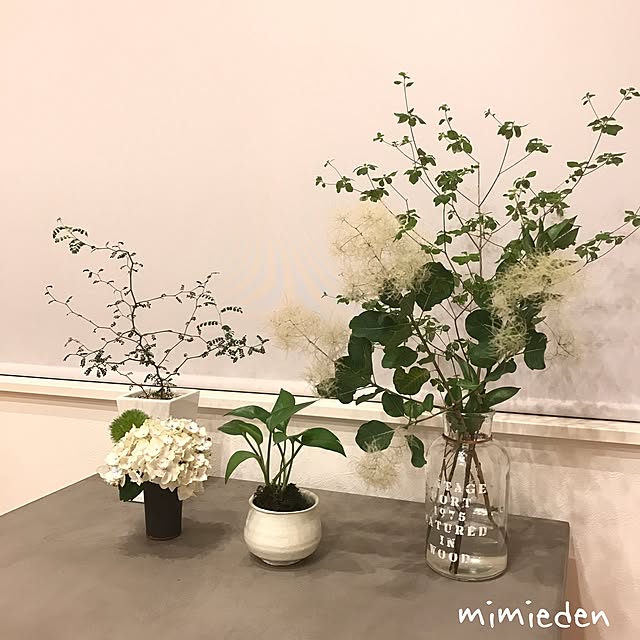 mimiedenさんの実例写真