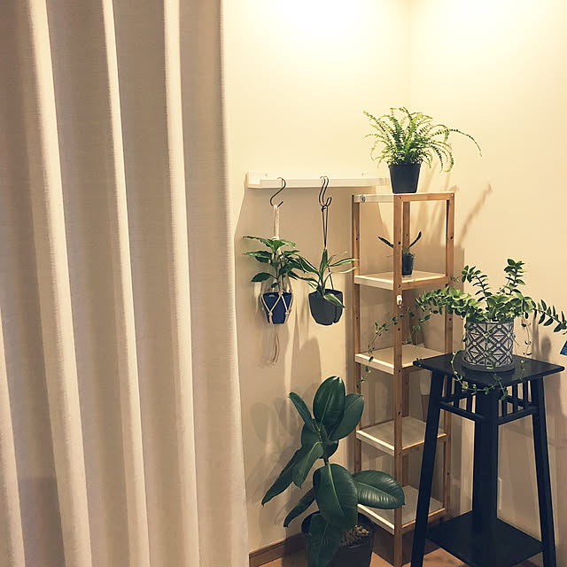 hana0618さんの実例写真
