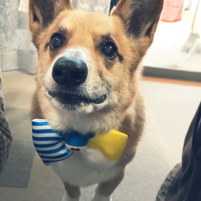 EMIさんの実例写真