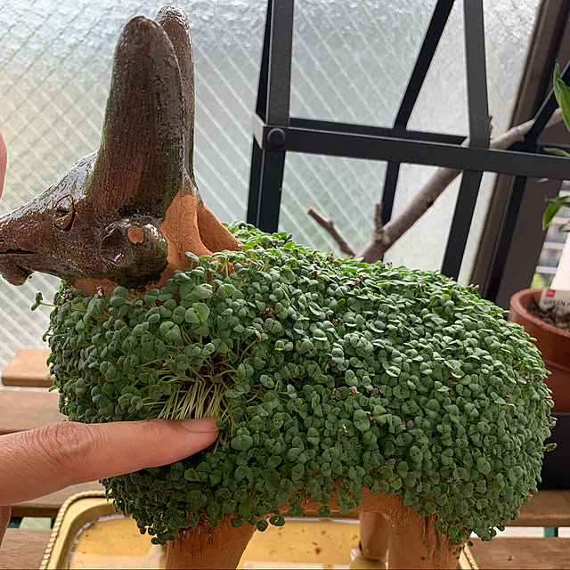 aureaさんの実例写真