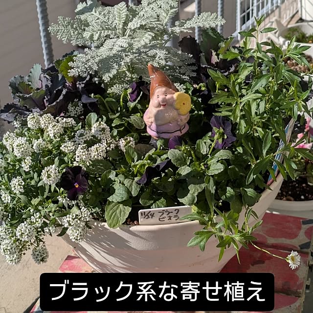 toramamaさんの部屋