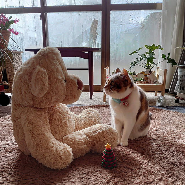 fukuさんの実例写真