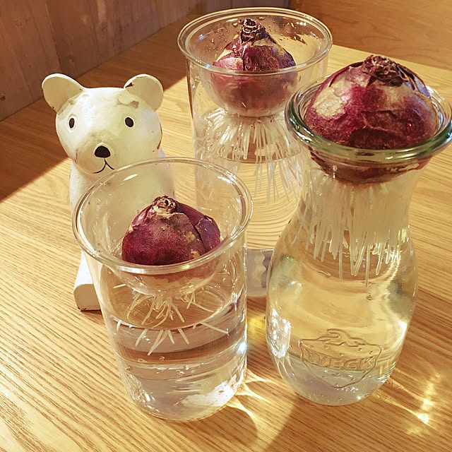 IRODORIさんの実例写真