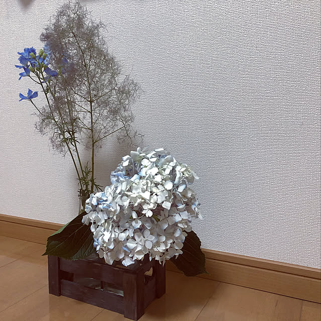 Hayabusaさんの実例写真