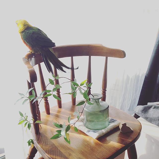 kuroさんの実例写真