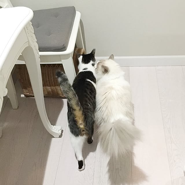 yuchiさんの実例写真