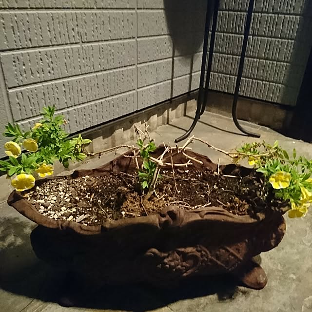 mar.333さんの実例写真