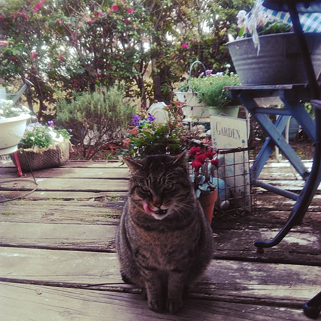 実例写真