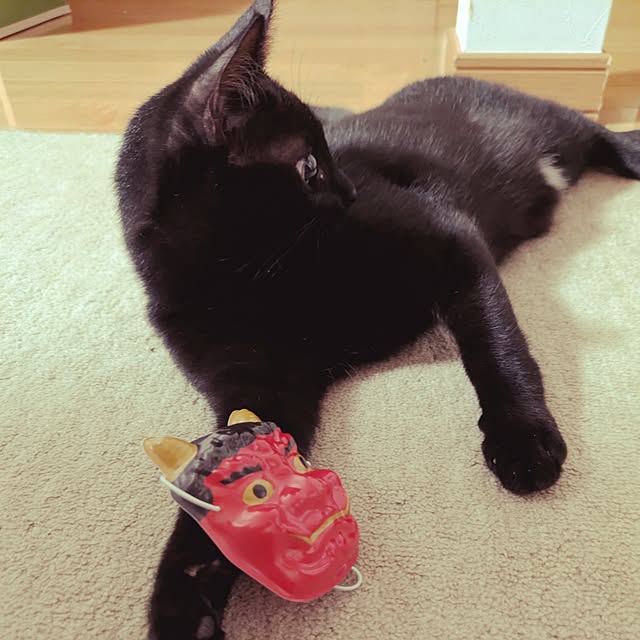 MyuRuuさんの実例写真