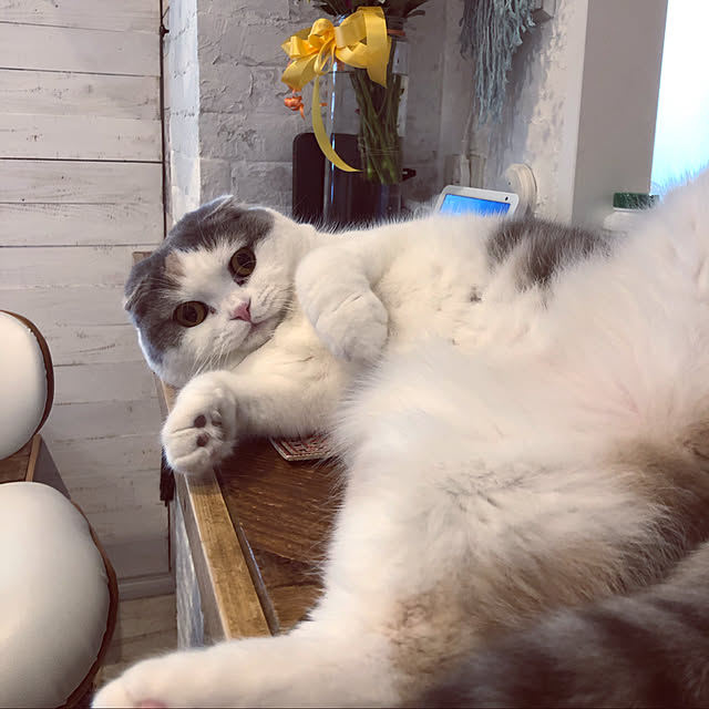runtenさんの実例写真