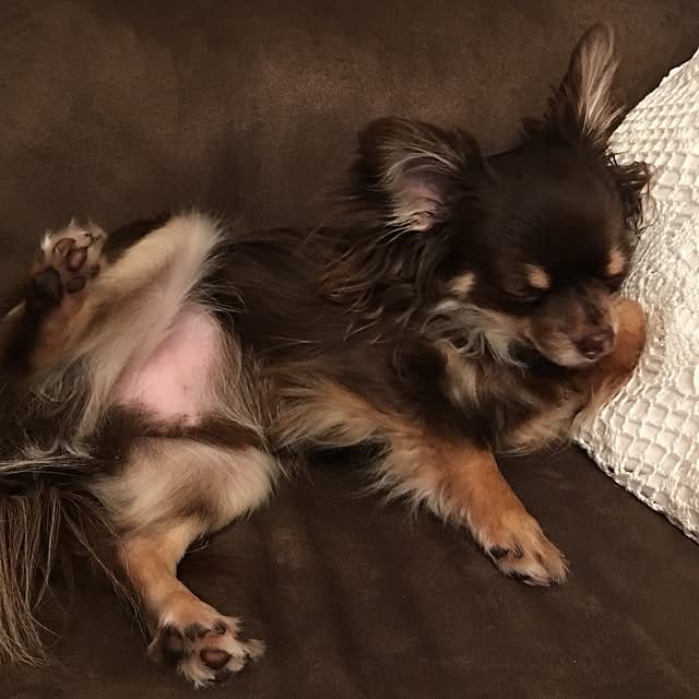takaさんの実例写真