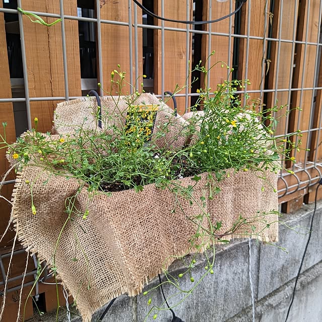 kazuさんの部屋