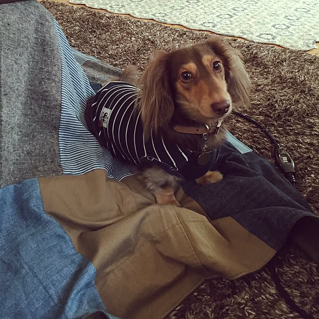 yupponさんの実例写真