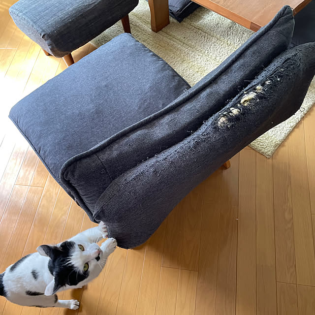 nobikoさんの部屋
