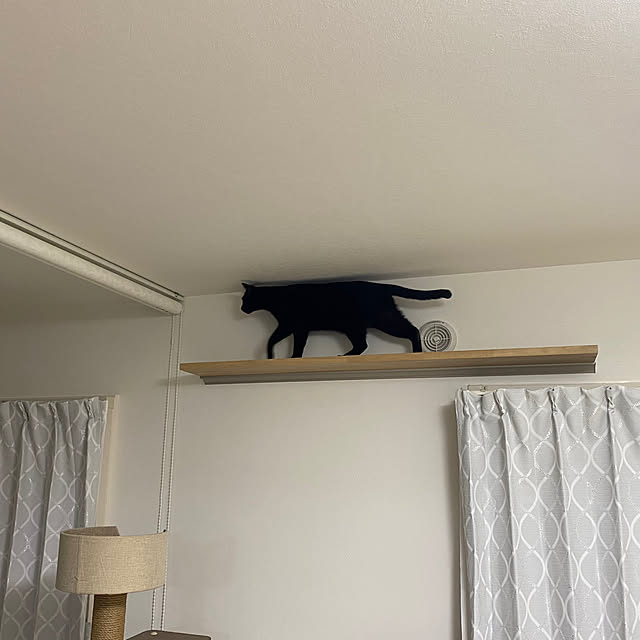 satopiさんの部屋