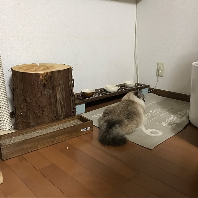 kazaneさんの実例写真