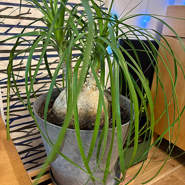 mtさんの部屋