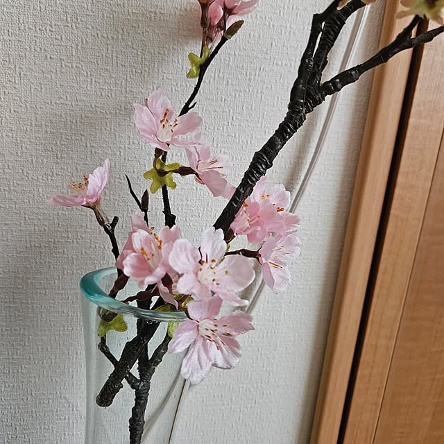 mogmogさんの部屋