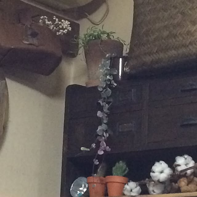 nora_koさんの実例写真