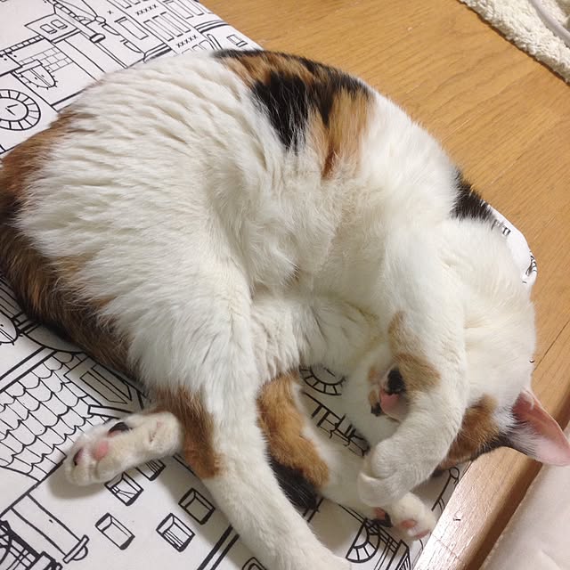 Kinanさんの実例写真