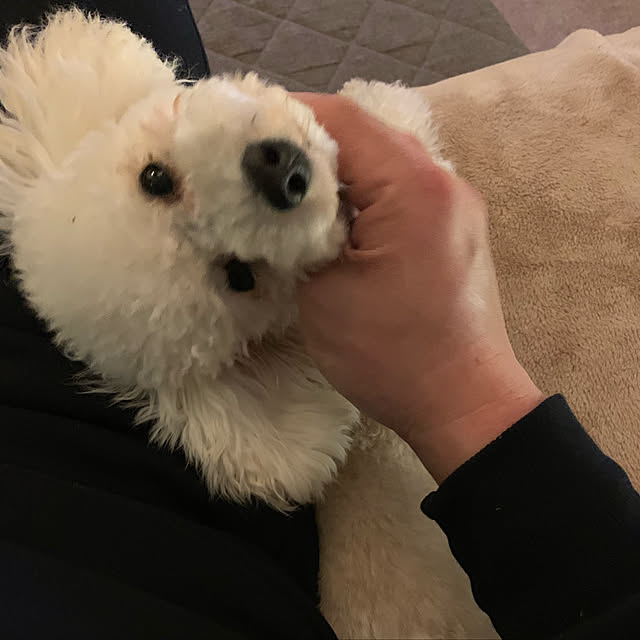 BUNさんの実例写真