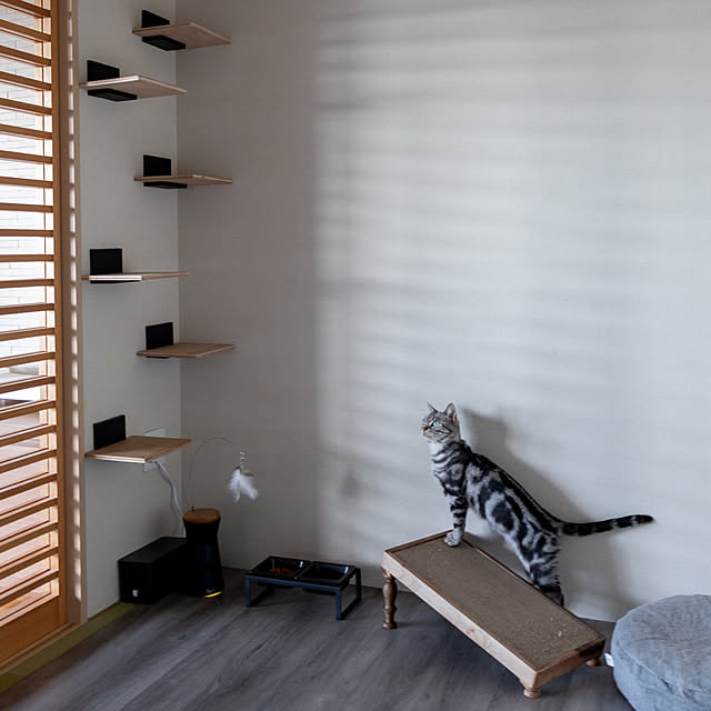 Yuki_with_a_tailさんの部屋