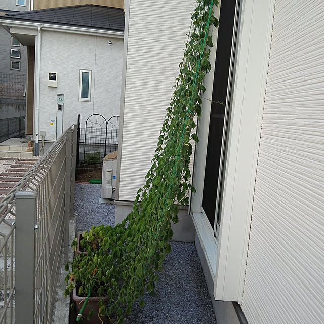 yukanaさんの実例写真