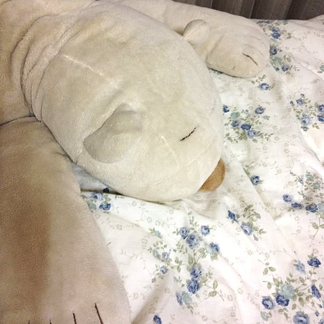 bichunosukeさんの実例写真