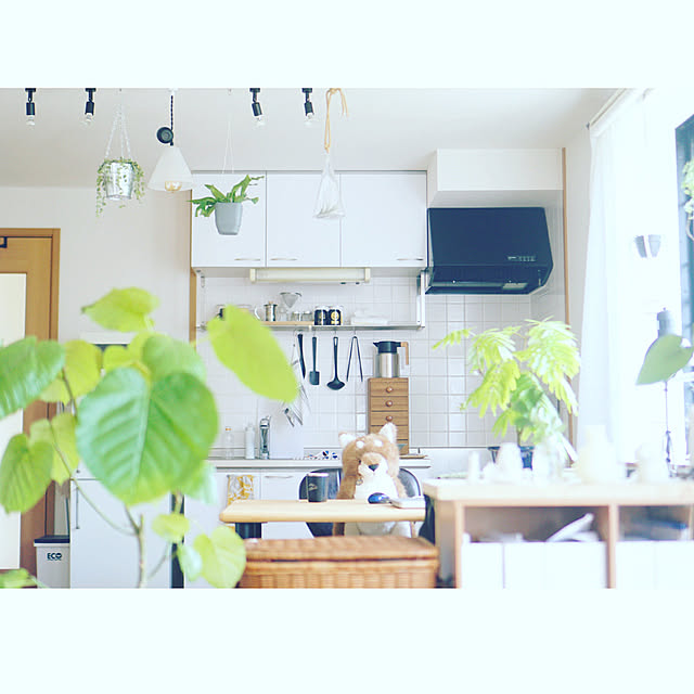 観葉植物/雑貨/賃貸でも諦めない！/ナチュラル/多肉植物...などのインテリア実例 - 2021-04-07 17:02:01