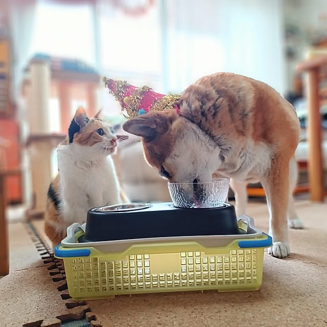 nanaさんの部屋