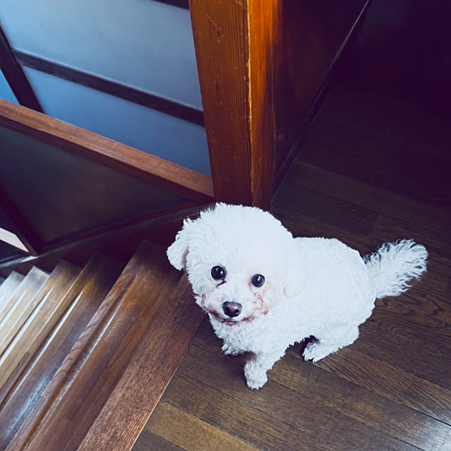 chacoさんの部屋