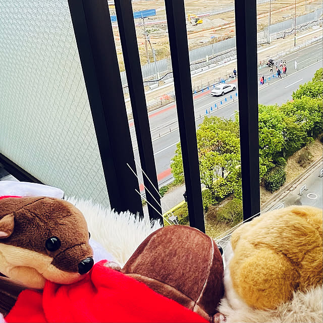 aureaさんの実例写真