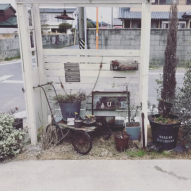 実例写真