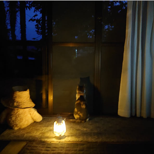 fukuさんの実例写真