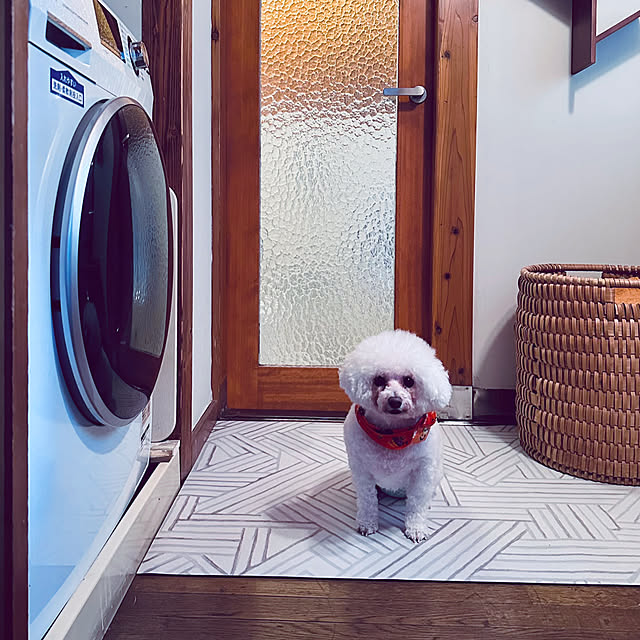 chacoさんの実例写真