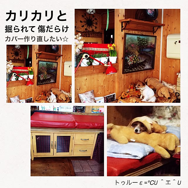20rose_mamiさんの実例写真
