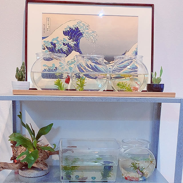 mi-yuさんの実例写真